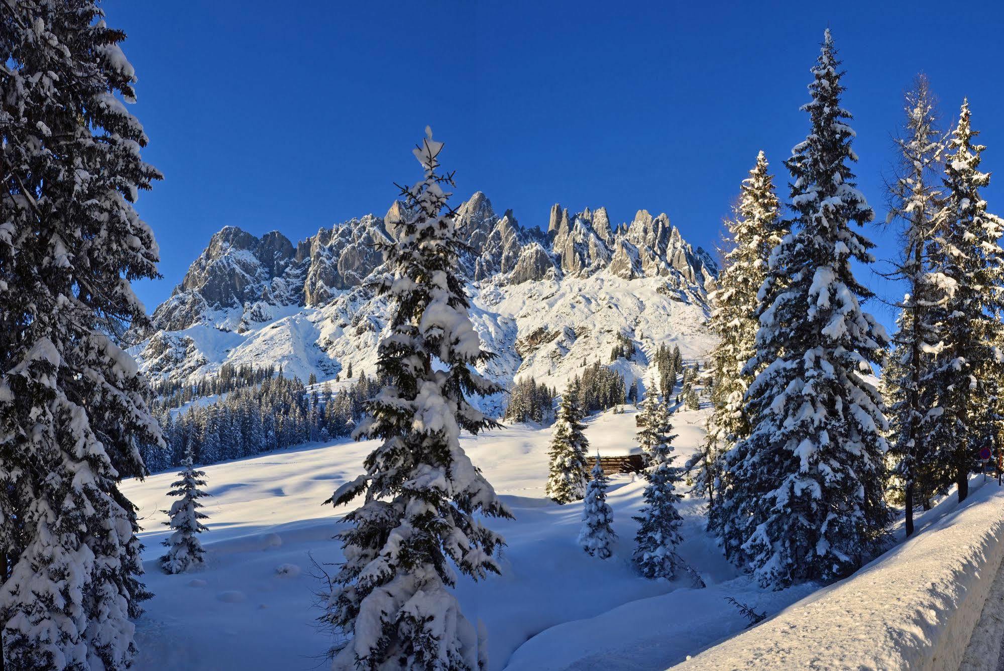 Bed and Breakfast Haus Elisabeth Mühlbach am Hochkönig Esterno foto